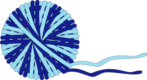 Roland Linder icon Coaching